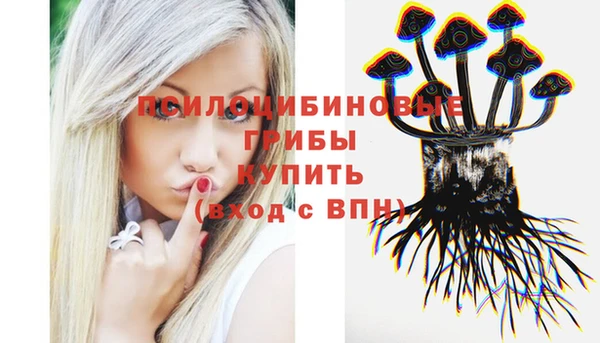 дурь Алексин
