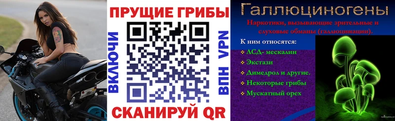 где найти   гидра ссылка  Галлюциногенные грибы прущие грибы  Нелидово 